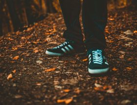 Best Shoes For Women Under 1500: Best Shoes for Women Under ₹1,500: 5 Smart Picks