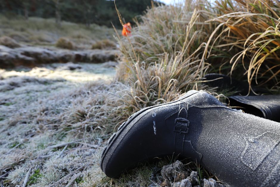 Close-up of frosty boots and brown plants in a cold winter landscape, showcasing outdoor w