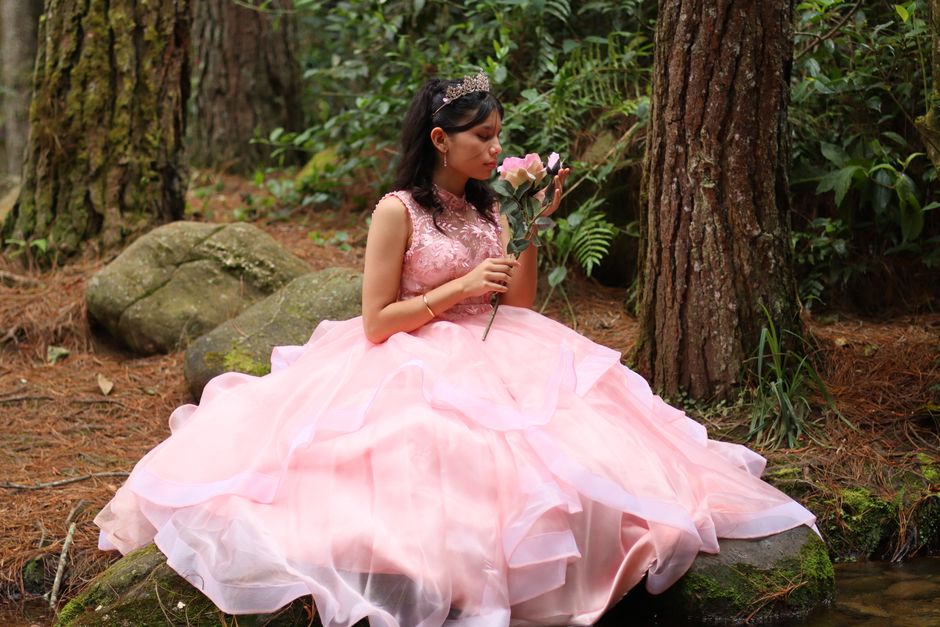 A young woman in a pink ball gown sits gracefully in a tranquil forest setting, embodying elegance.